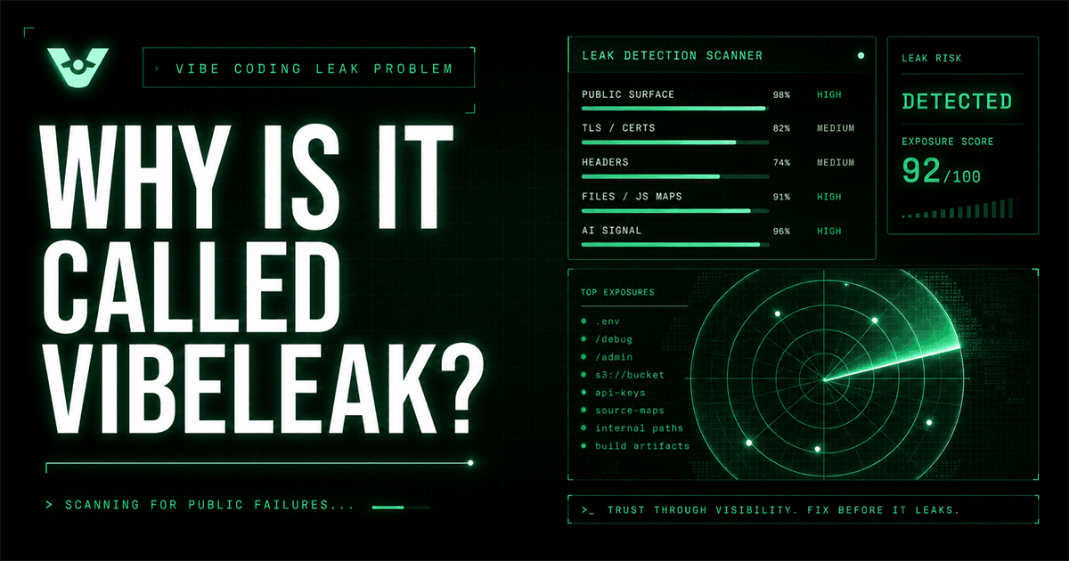 Terminal-style VibeLeak origin card showing the vibe-coding leak problem and scanner signals.